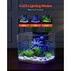 Fish Tank Aquarium, 3.5 Gallon Arch Ultra-Clear GPPS Starter Smart Tank Adjustable 3 Color Lighting
