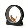Wooden Cat Exercise Wheel