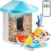 Smart Bird Feeder with Camera, 2K HD AI Identify 10,000+ Bird Species, Solar-Powered Bird Watching Camera with Auto Capture & Instant Notify