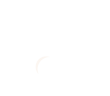 Petsify Shop