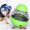 Interactive Treat-Dispensing Tumbler Toy for Dogs & Cats