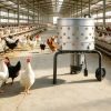 Plucker Machine with Easy to Clean and Space-Saving for Outdoor