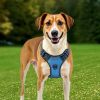 Adjustable Pet Vest Dog Harness for Large Dogs for Use Outdoor