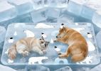 90*60cm Dog Cooling Mat, 2026 New Summer Pet Mats, Portable Pet Cooling Pad for Travel, Washable Gel Coolings Mat for Dogs and Cats Indoor Outdoor